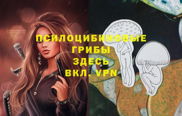дурь Арсеньев