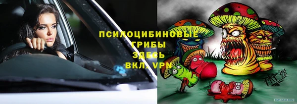 дурь Арсеньев